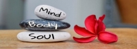 PMITLH Wellness Wednesday: Mind, Body, & Soul - BrainFit Round 1